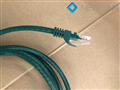 Dây mạng 0,3M Cat6 NewLink màu xanh lá NL-10100GR