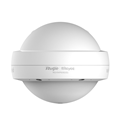 Wi-Fi 6 Ruijie RG-RAP6262(G) AP Ngoài trời  AX1800 AP Đa hướng cao cấp