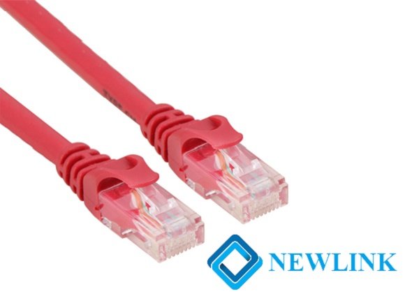 Dây mạng 0,3M Cat6 NewLink màu đỏ NL-1001FRD
