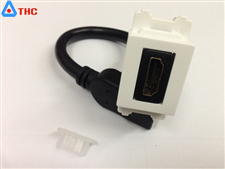 Nhân HDMI chuẩn FULL dây lắp âm tường